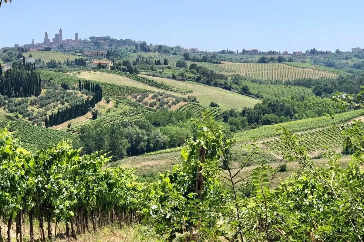På familieferie i Toscanas bjerge - 6 oplevelser I ikke må gå glip af