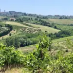 På familieferie i Toscanas bjerge - 6 oplevelser I ikke må gå glip af