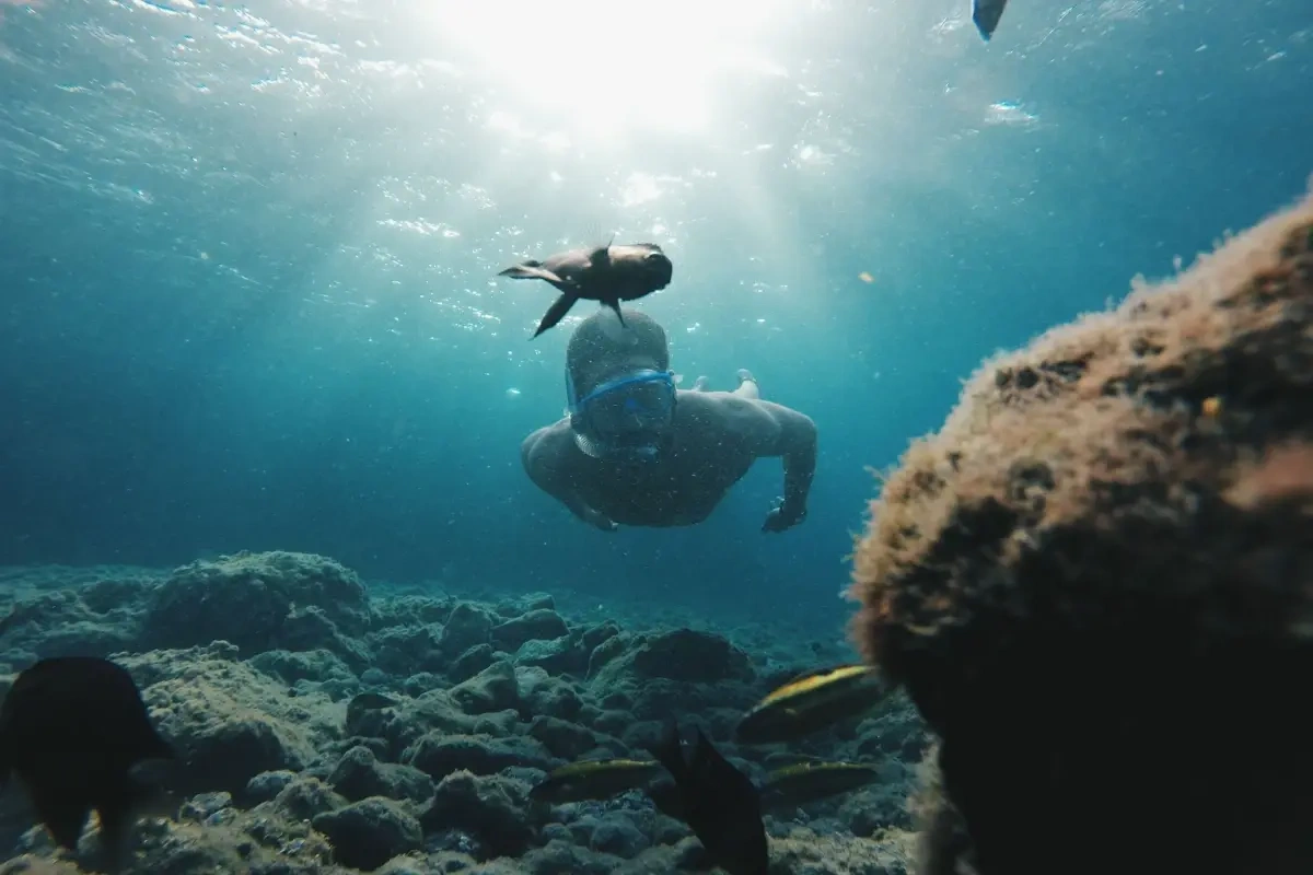 På Gran Canaria med familien - sådan får I den bedste tur